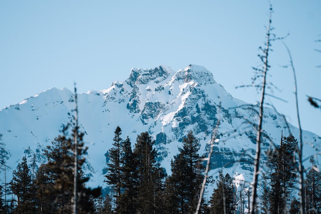 _A739741