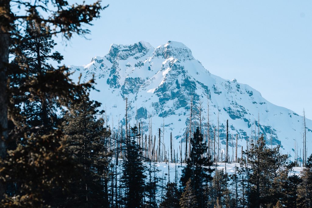 _A739842